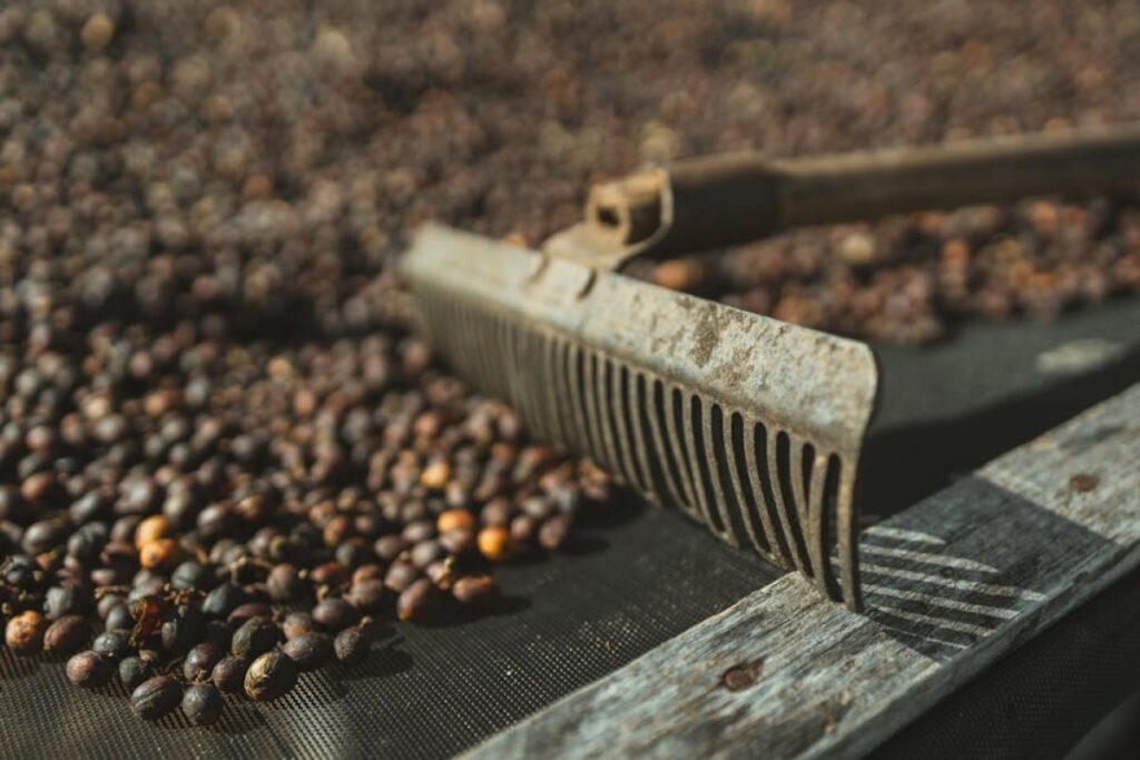 agricultural rake