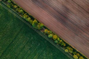agricultural land