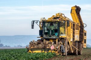 vegetable harvester