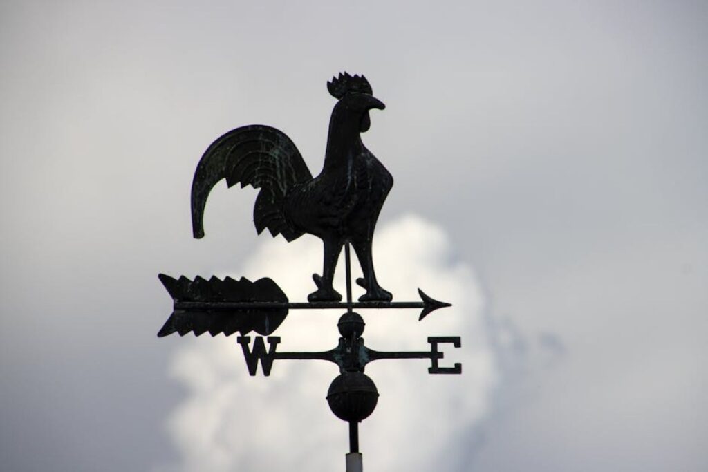 metal weather vane