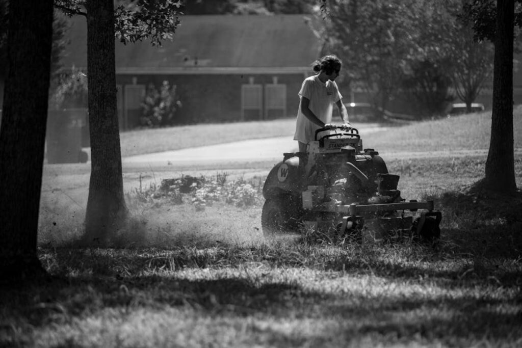 riding mower Mesko