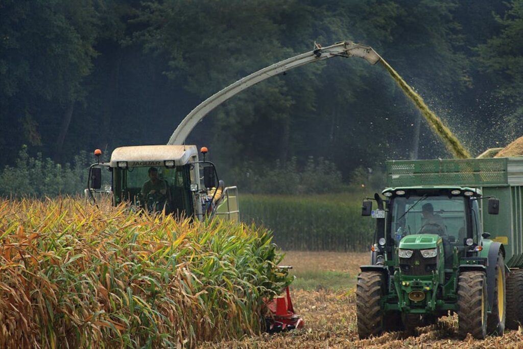 forage harvester