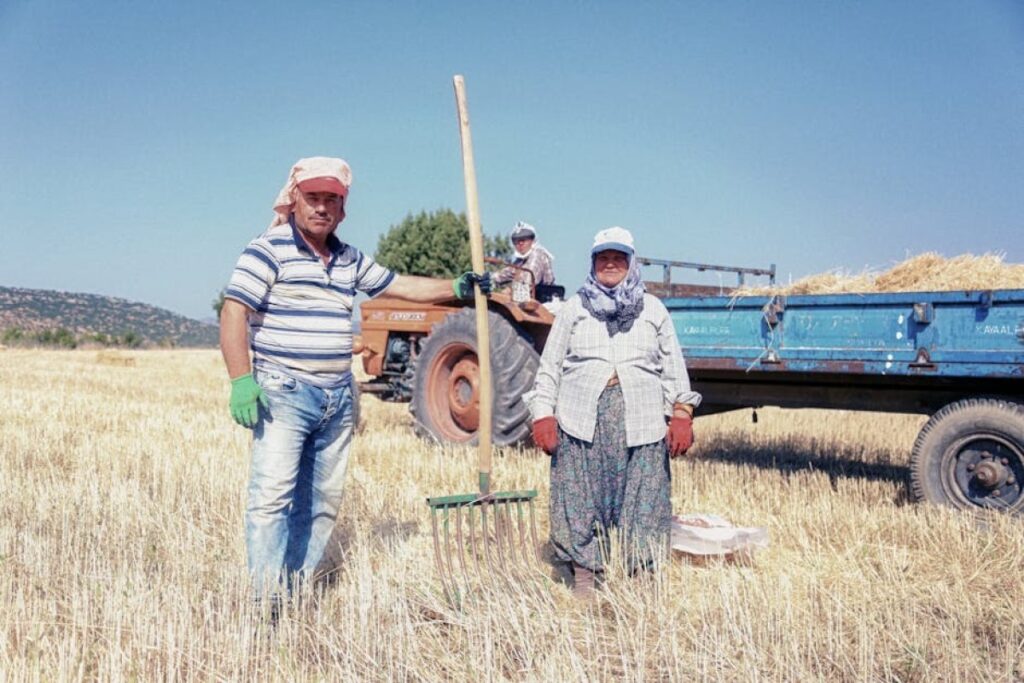 hay rake
