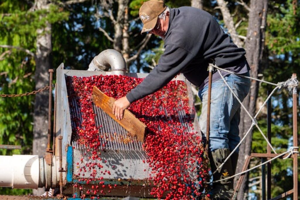fruit harvesting machine