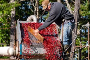 fruit harvesting machine