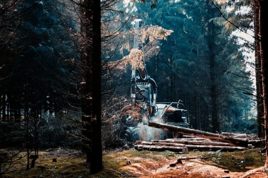 tree removal machine
