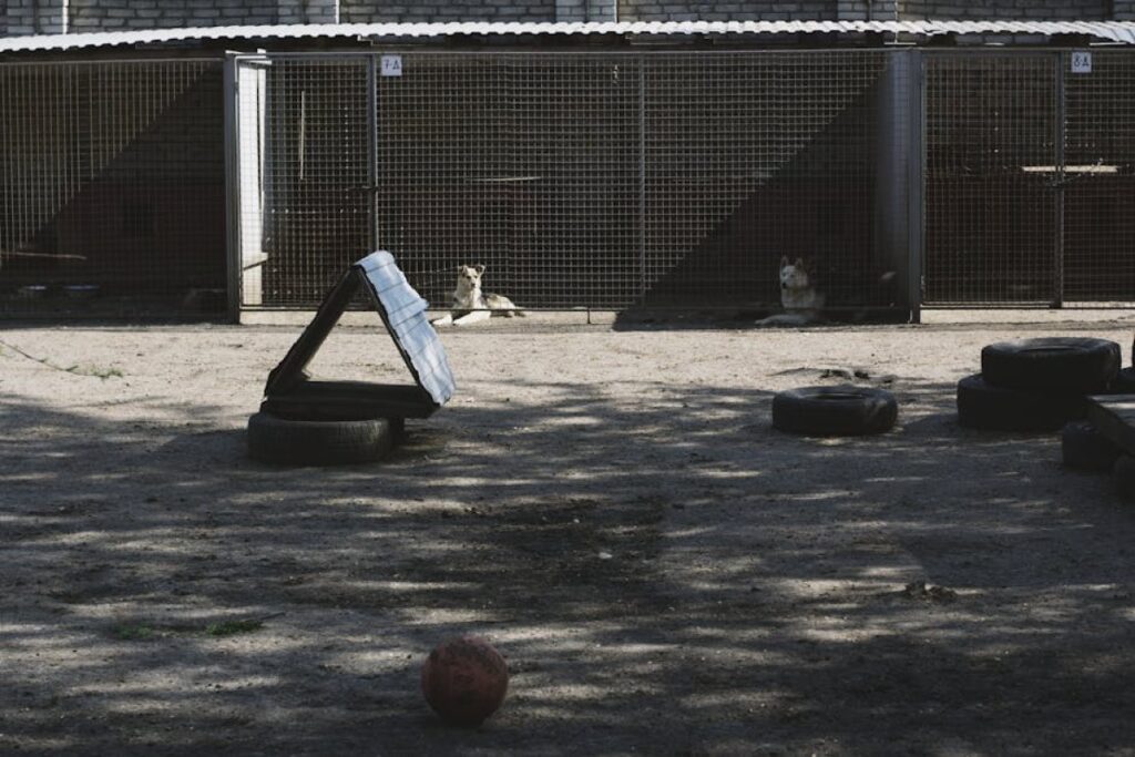 dog kennel steel