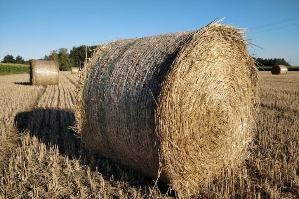 straw bales