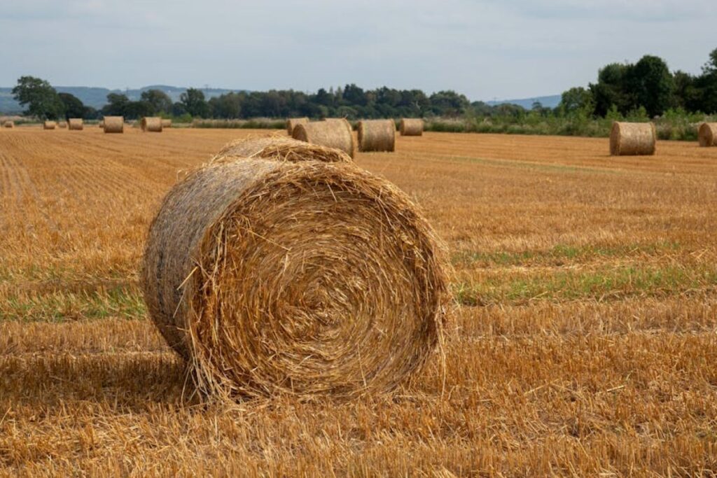 straw bales