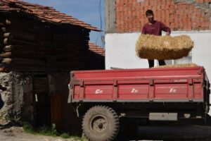 trailer agriculture