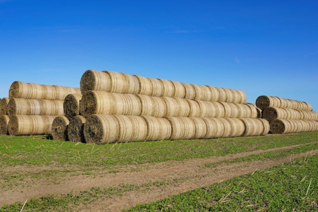 silage bale wrapping