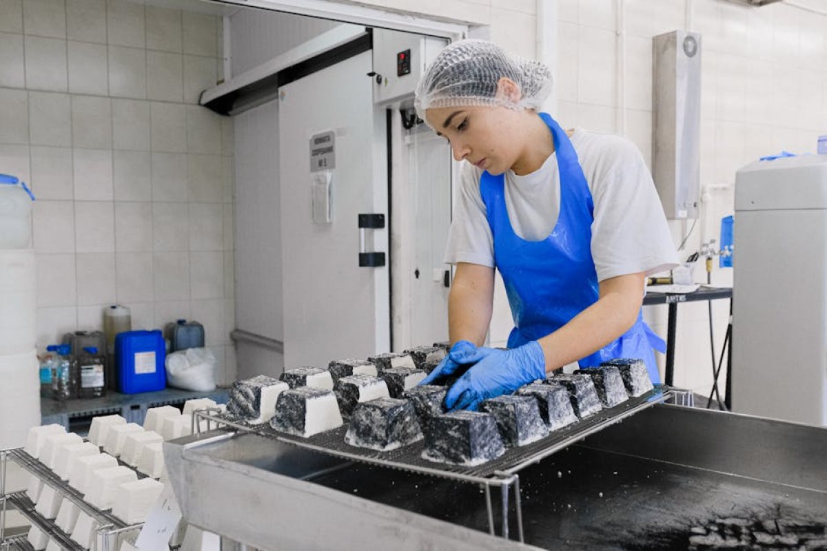 food quality inspection