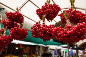 berries in store
