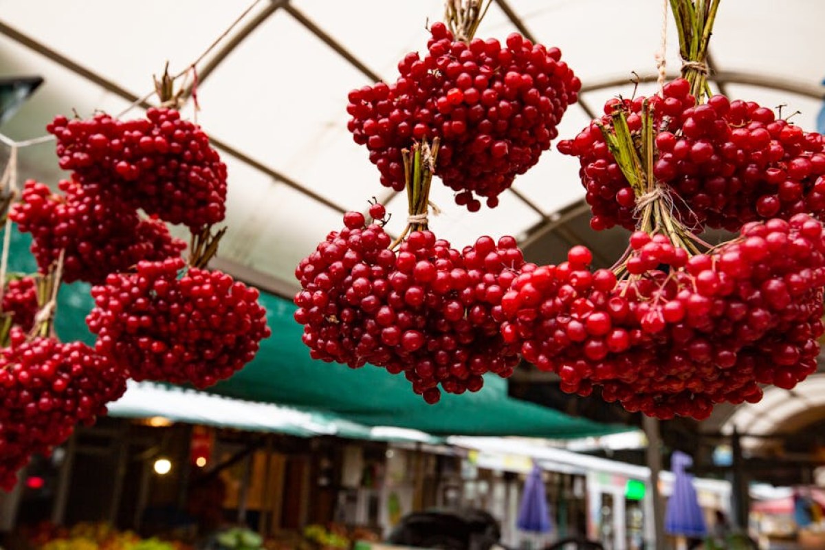 berries in store