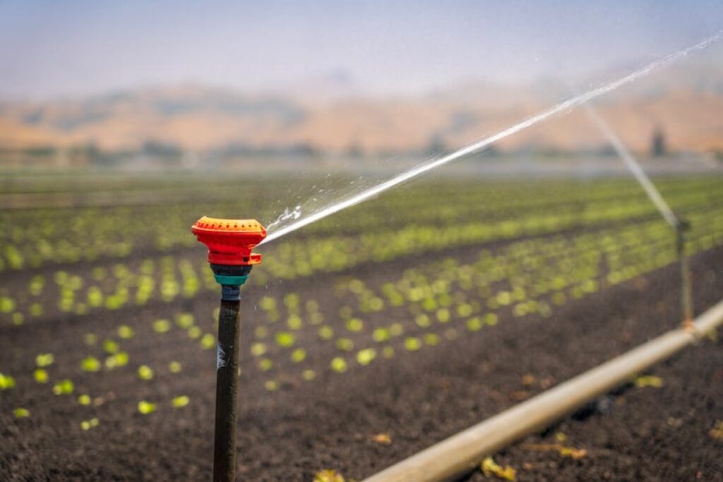 irrigation system