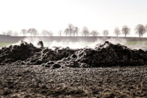 fertilizer granules