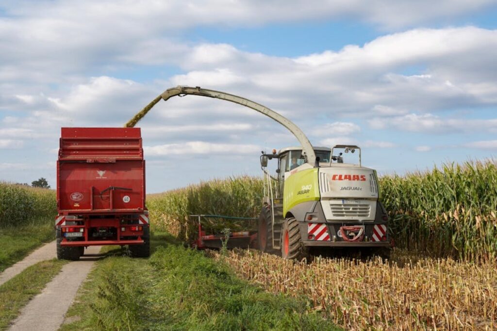 Claas Jaguar 900