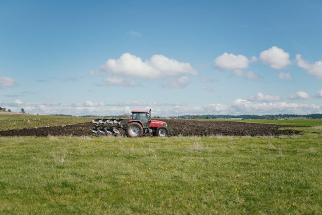Kuhn plow