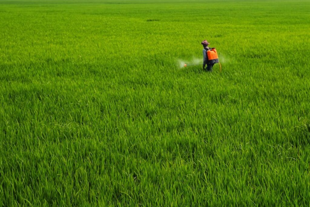 Amazone sprayer field