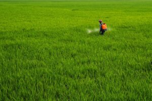 Amazone sprayer field