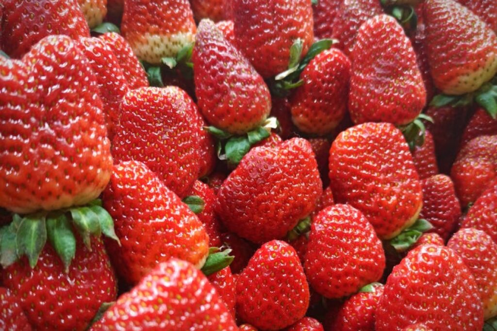 strawberry mulcher