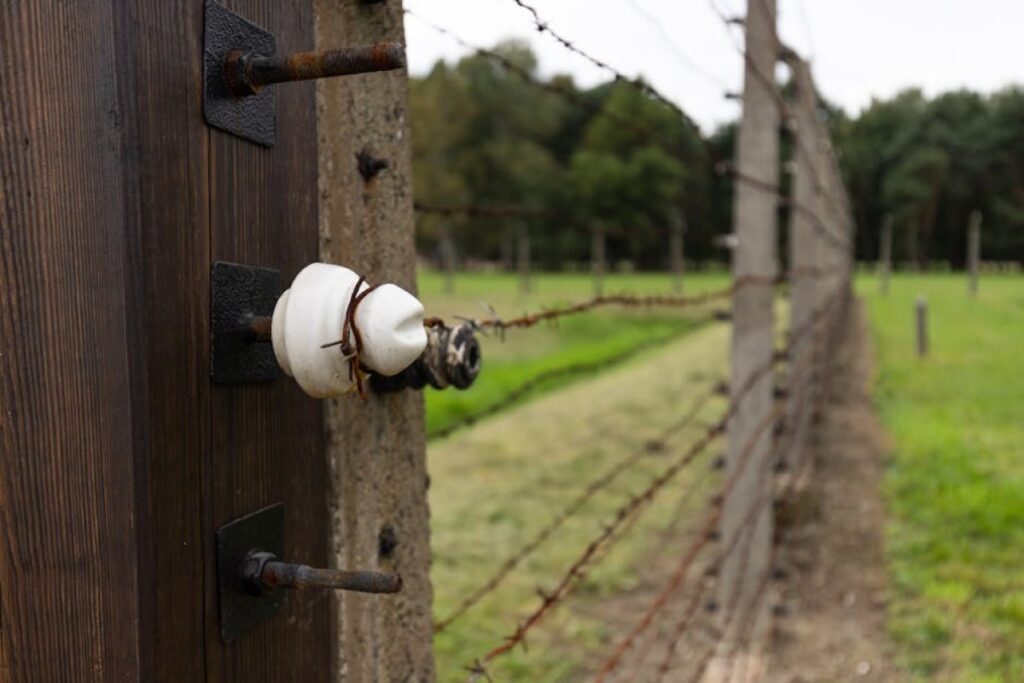 fence posts