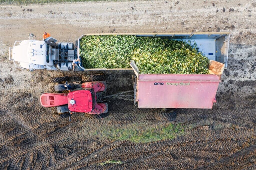 trailer dump