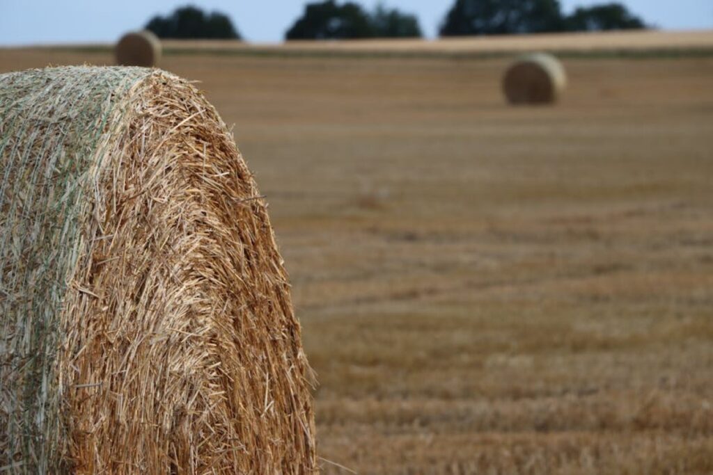 round baler Unia