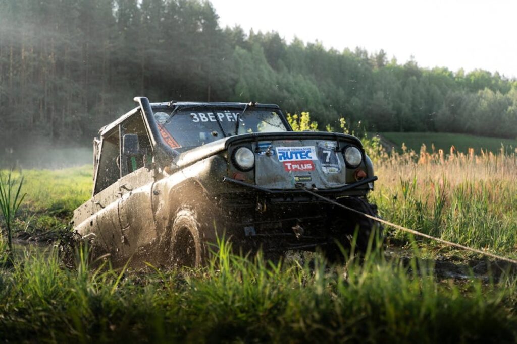 forest winch