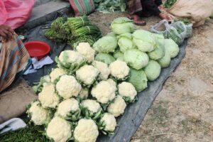 fresh vegetables market