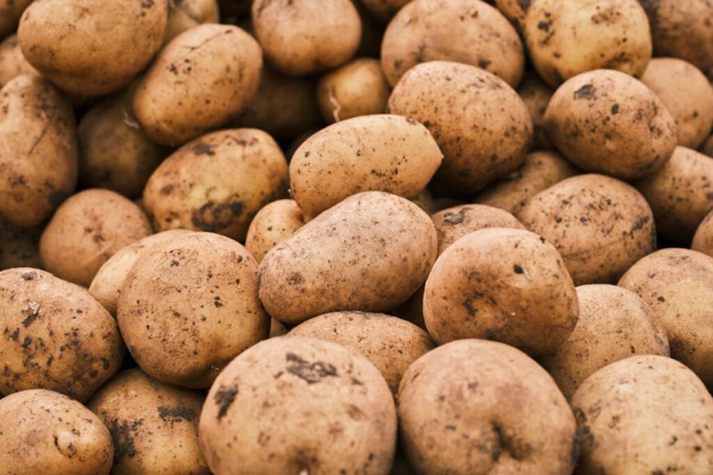 potatoes seeds