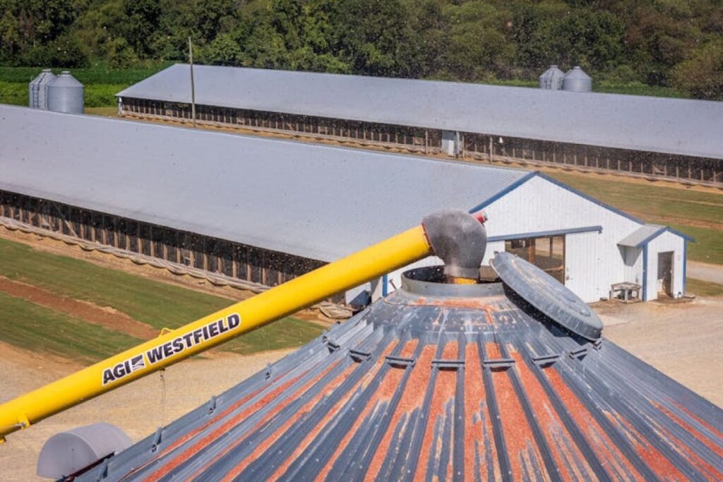 grain auger