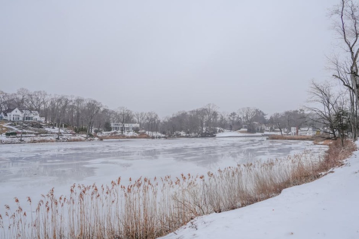mower pond dike