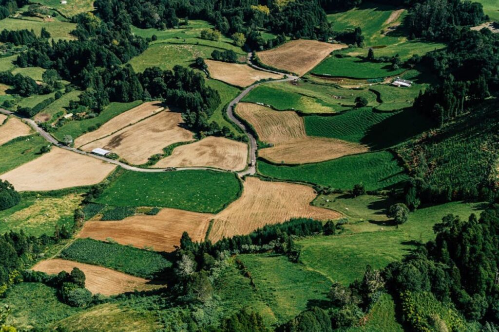 agricultural land purchase
