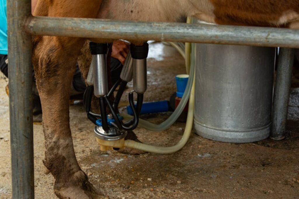 milk tank