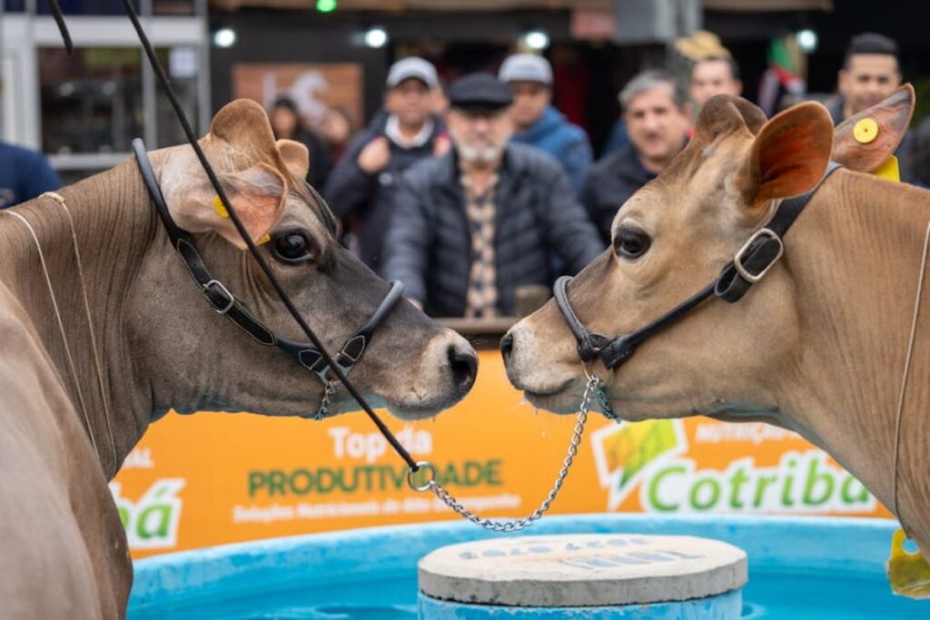 agricultural fair
