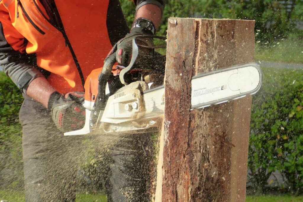 chainsaw Pial-70