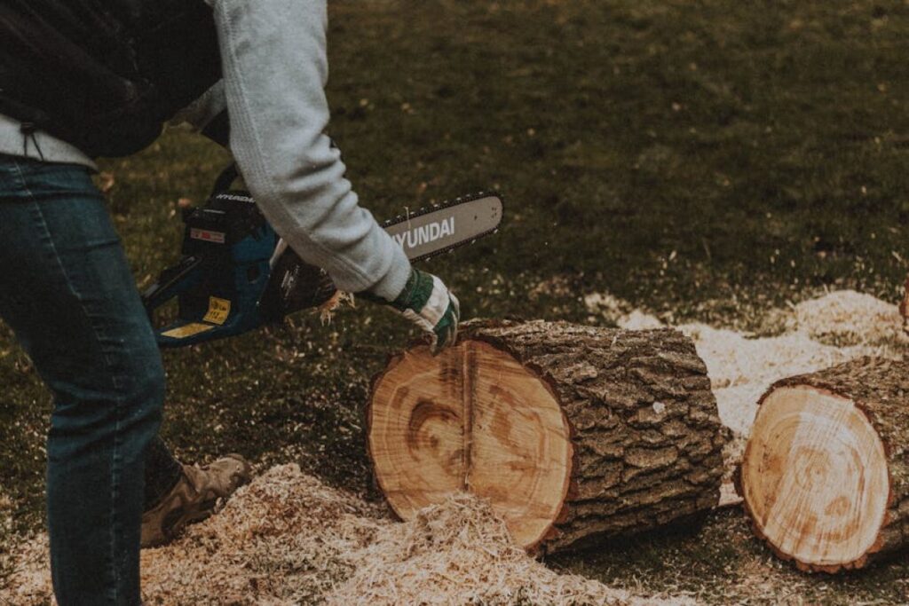 chainsaw for sale
