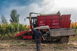 corn harvester adapter