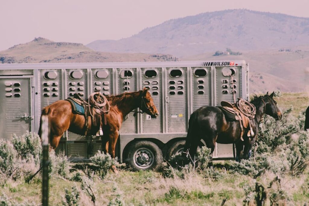 horse trailer