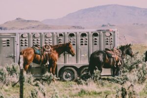 horse trailer
