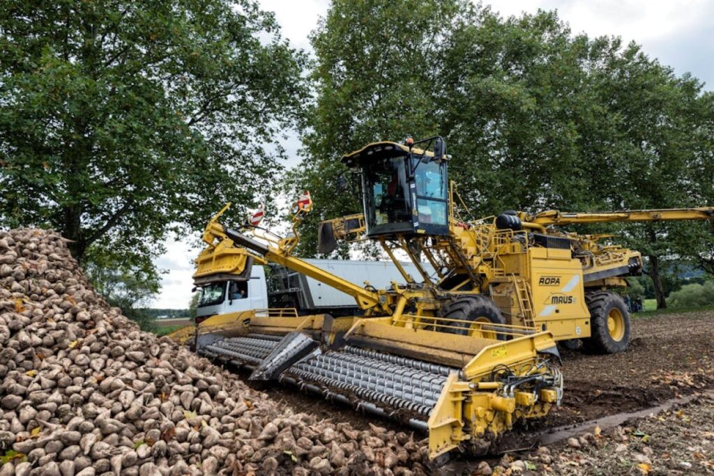 Krukowiak Z437 harvester