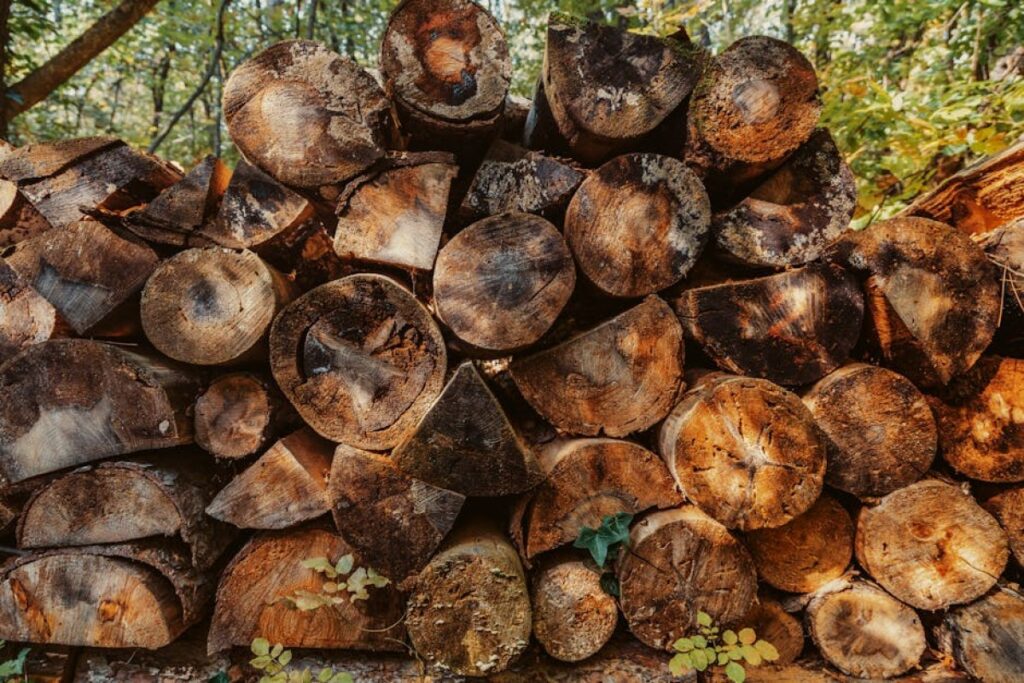 firewood stack