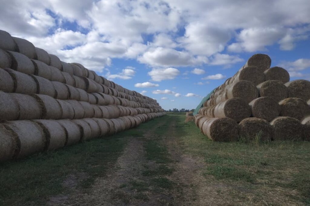 hay bales