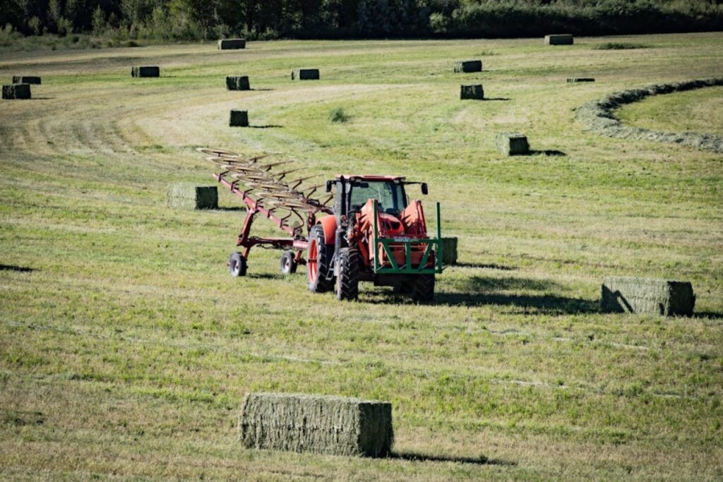 hay rake