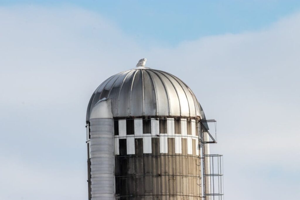 steel farm structure