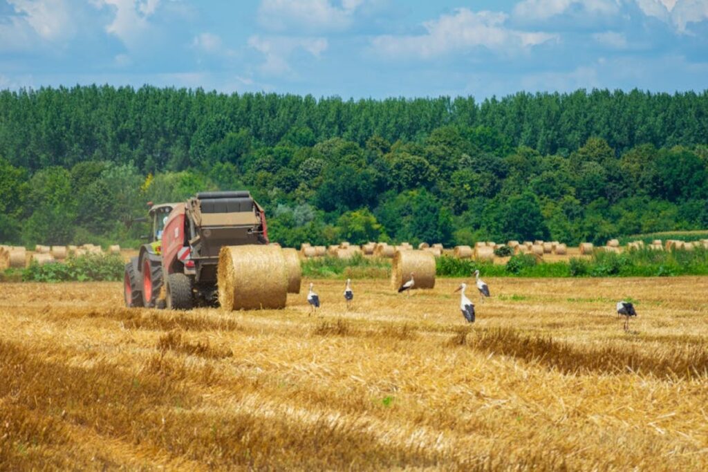 hay tedder machine