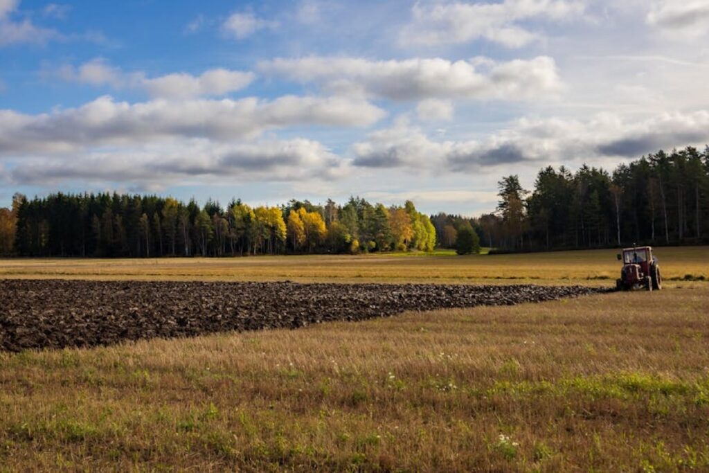 agricultural plow