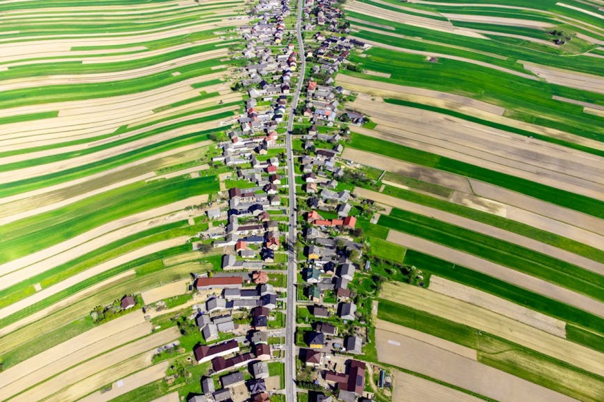 agriculture field poland