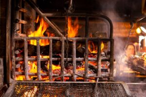 fire holland